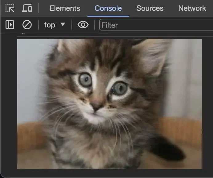 A photo of a kitten being rendered in the dev tools console.
