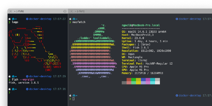 Switch From Zsh to Fish